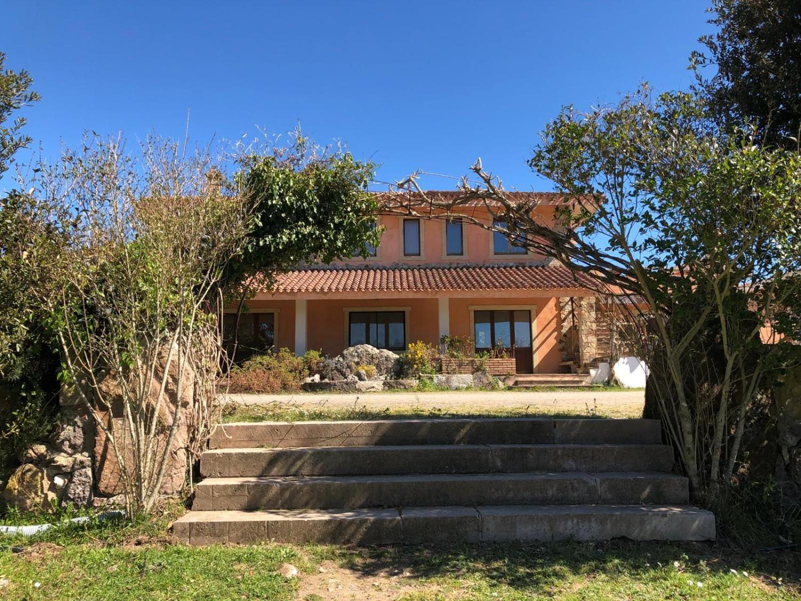 Sa Tanchitta Villa Ula Tirso Eksteriør billede